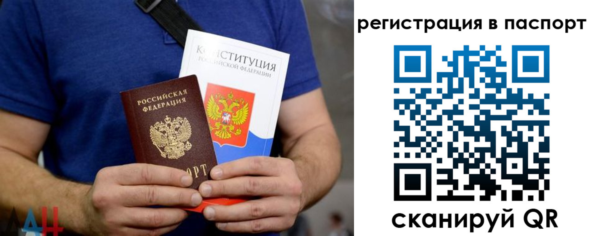 прописка гарантия в Гвардейске
